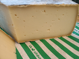 Tomme de chèvre bio