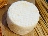 Crottin chèvre bio nature