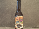 Bière Draenek Pale Ale 33cl