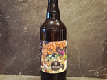 Bière Draenek Pale Ale 75 cl