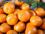 Mandarine Orri Socculente