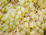 Raisin Centennial sans pépins