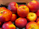 Nectarine chair jaune