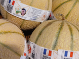 Melon label rouge cal 12