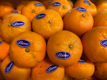 Mandarines - 5 fruits