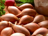 Echalottes