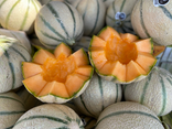 Petit Melon Charentais jaune - Cal.12