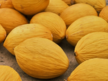 Melon Jaune