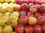 Pomme de saison
