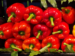 Poivron rouge