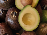 Avocat Gros hass
