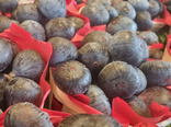 Figues fraîches barquette