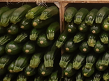 Courgette maison "Oustalet"