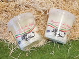 Mini boules de mozzarella