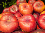 Nectarine plate