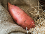 Patate douce
