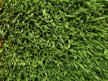 Haricots verts extra fin (100g)