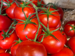 Tomates Grappe Bretagne