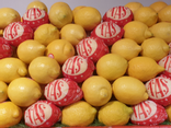 Citron non traité pièce