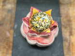 Tulipe d’agneau