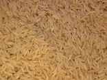 Riz Camargue IGP