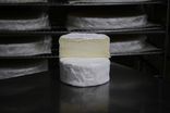 Brillat Savarin