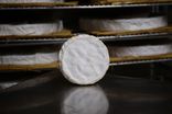 Camembert de Normandie Jort