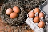 Œufs frais plein air de la Ferme de la Bigottière