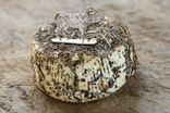 Demi Saveur du Maquis