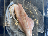 Encornet
