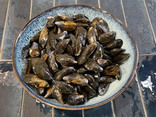 Moules de bouchot vivantes