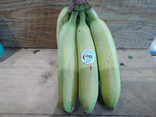 Banane bio