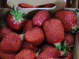 Fraise locale