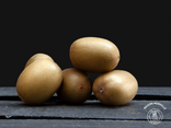 Kiwi jaune – lot de 5
