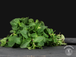 Pack mojito