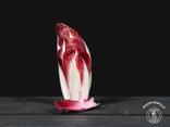 Endives rouges