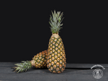 Ananas bouteille