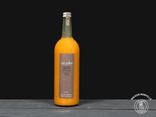 Nectar Abricot Bergeron - 1L