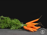 Carottes botte local