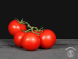 Tomates Grappe