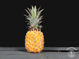 Ananas Victoria