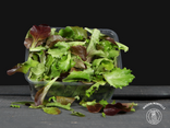 Mesclun barquette (125 g)