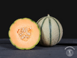 Melon