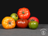 Tomates Mix Local (jeune, noir, rouge) Local