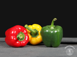 Le 5 - Fruits et Légumes