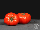 Tomates à farcir