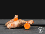Curcuma