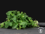 Menthe (Prix pour 1 botte)
