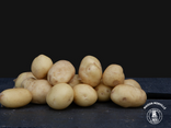 Pomme de terre Délicatesse