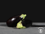 Aubergine (Prix pour 1 pièce)